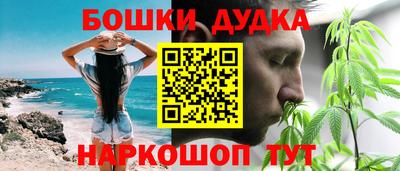 крисы Сланцы