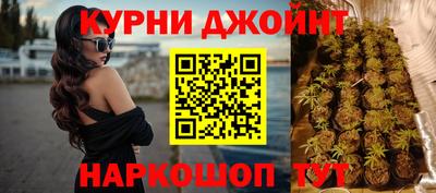 крисы Сланцы