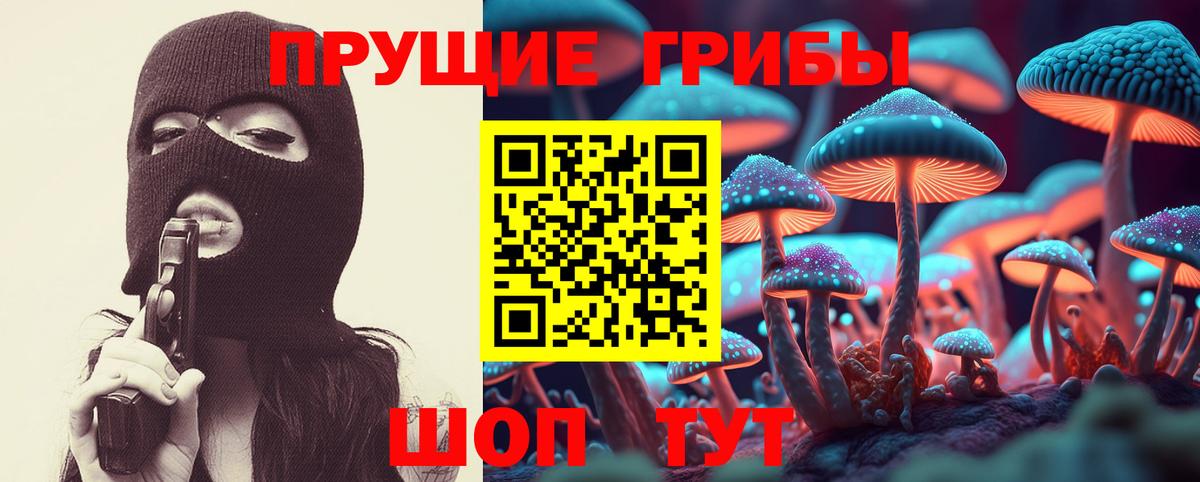 Псилоцибиновые грибы Magic Shrooms  Псилоцибиновые грибы GOLDEN TEACHER  Вход с VPN  Нижний Тагил 